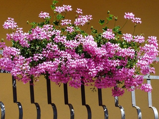 balcony railing planter